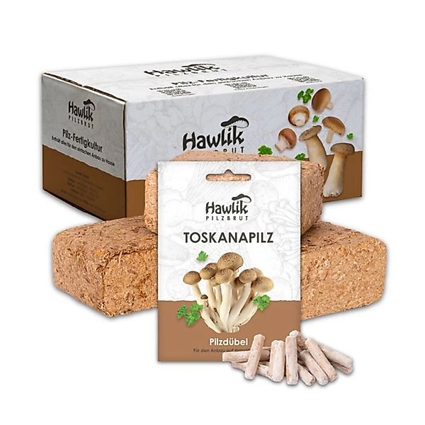Hawlik Pilzbrut Toskanapilz Pilzbeet-Set für Einfache Pilzzucht Im Garten m günstig online kaufen