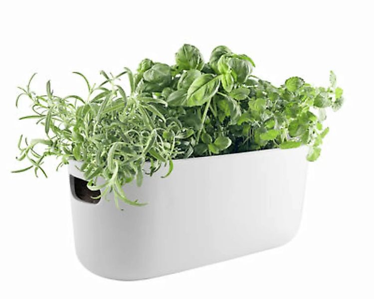 Blumentopf mit Wasserreservoir Herb keramik weiß / Kräuter-Pflanztopf - Ker günstig online kaufen