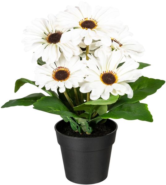 my home Kunstpflanze "Elaine" im Topf, 2er Set günstig online kaufen