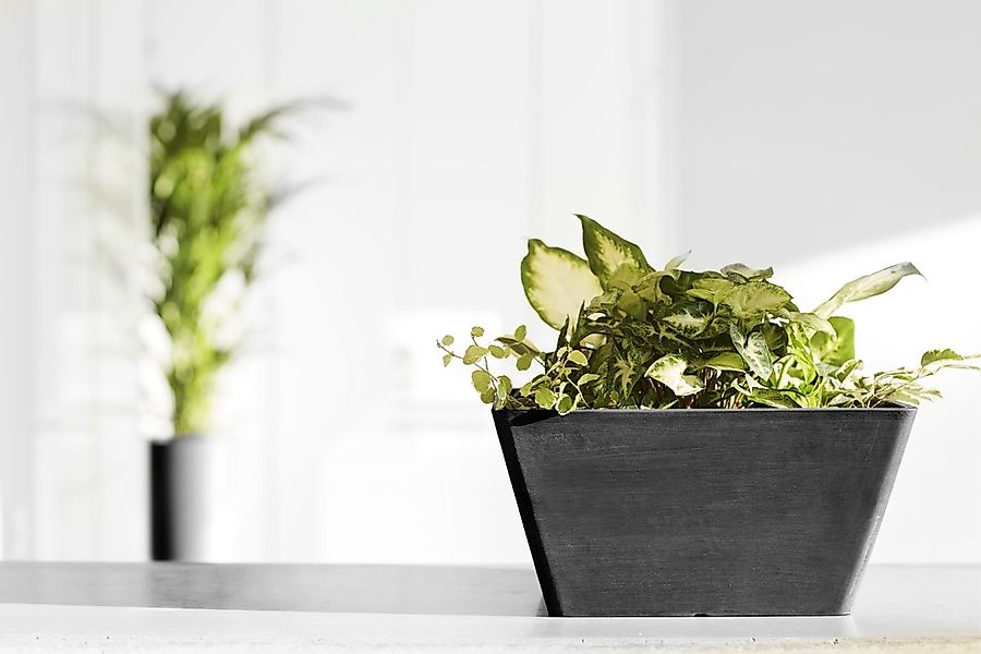 ECOPOTS Blumentopf "BERLIN Dark Grey", BxTxH: 31x31x15,5 cm günstig online kaufen
