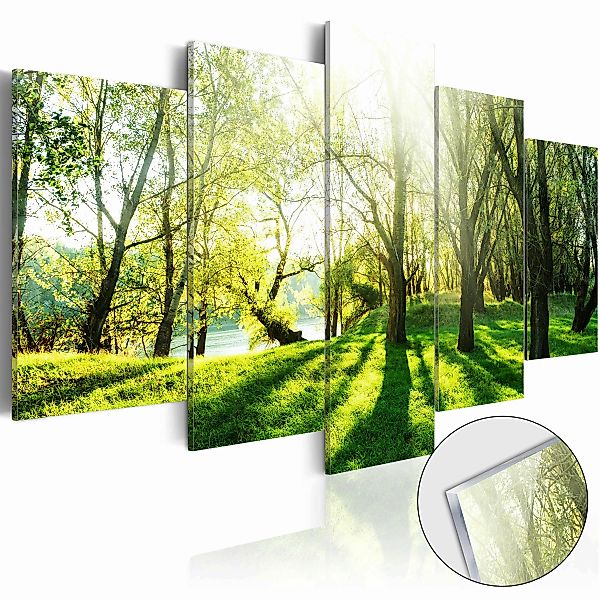 Acrylglasbild - Green Glade [glass] günstig online kaufen