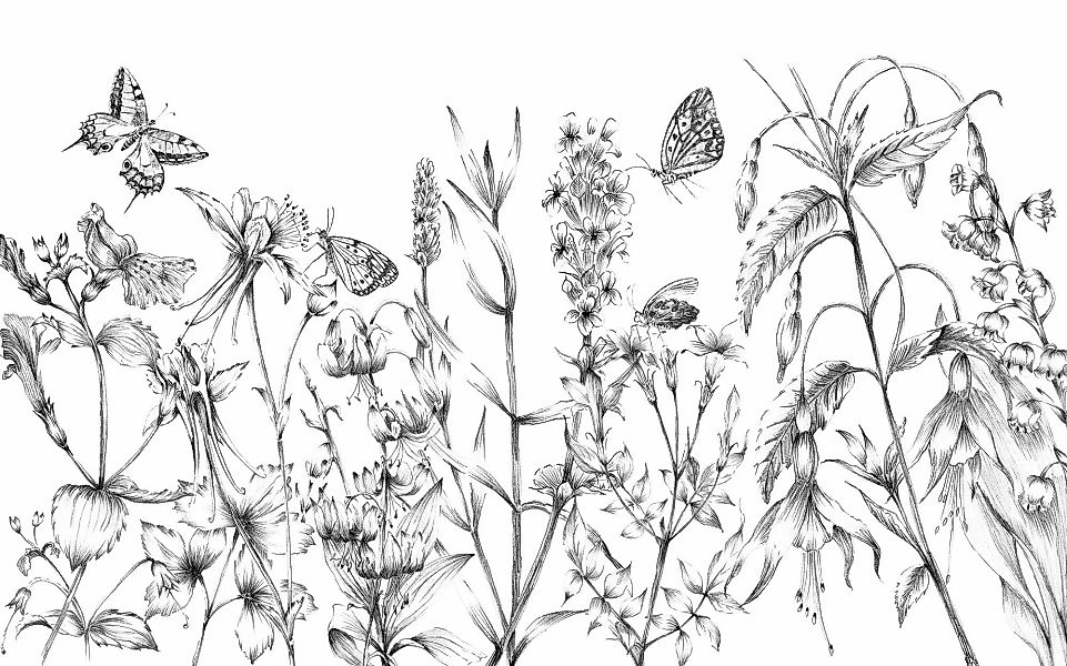 Komar Vliestapete »Digitaldruck Vlies - Butterfly Field - Größe 400 x 250 c günstig online kaufen