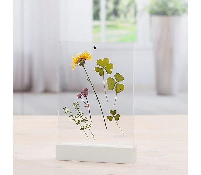 Hama Fotohalter Fotohalter Acryl, 10 x 15 cm, zum Aufstellen, für 1 Bilder günstig online kaufen