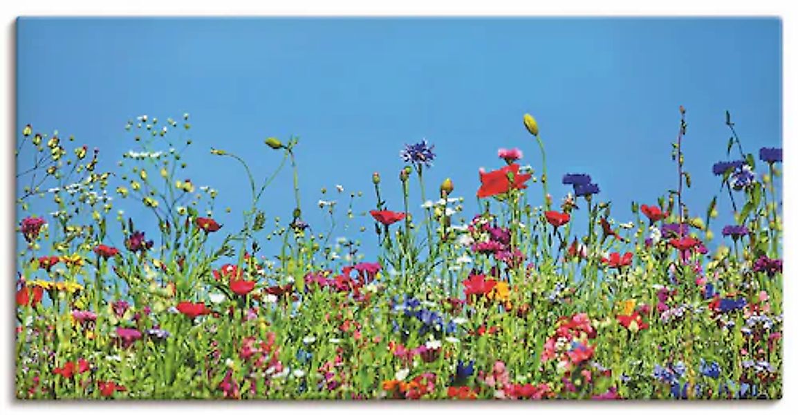 Artland Wandbild »Blumenwiese II« Blumenwiese 1 Stk. tlg. als Leinwandbild, günstig online kaufen
