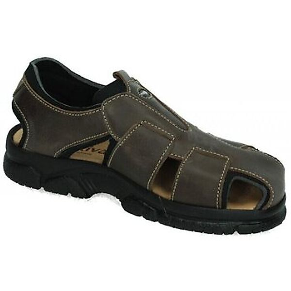 Dliro  Sandalen - günstig online kaufen