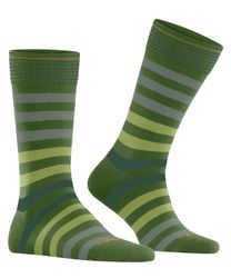 Burlington Socken Blackpool (1-Paar) mit Bio-Baumwolle günstig online kaufen