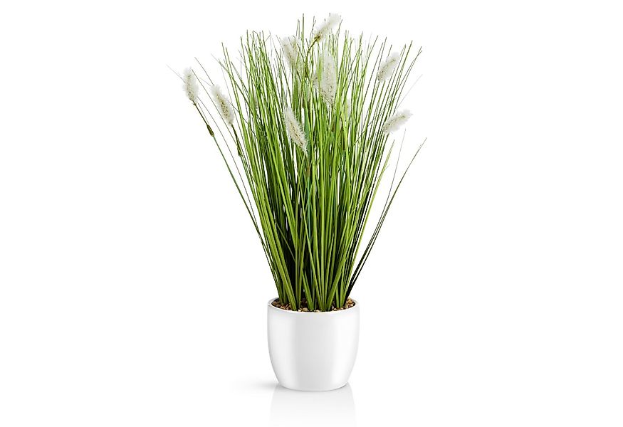 Kunstgras Kunstgras im Topf, Kunstpflanze Gras im Keramiktopf Gräser, PASCH günstig online kaufen
