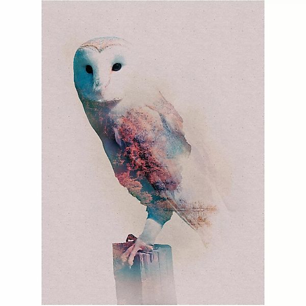 Komar Wandbild Animals Forest Owl 50 x 70 cm günstig online kaufen