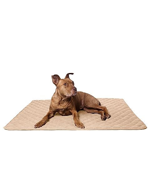 lous Hundematte Lous stilvolle Hundematte Hundedecke günstig online kaufen