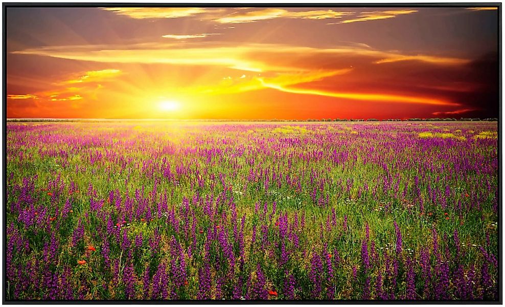 Papermoon Infrarotheizung »Blumenwiese Sonnenuntergang«, sehr angenehme Str günstig online kaufen