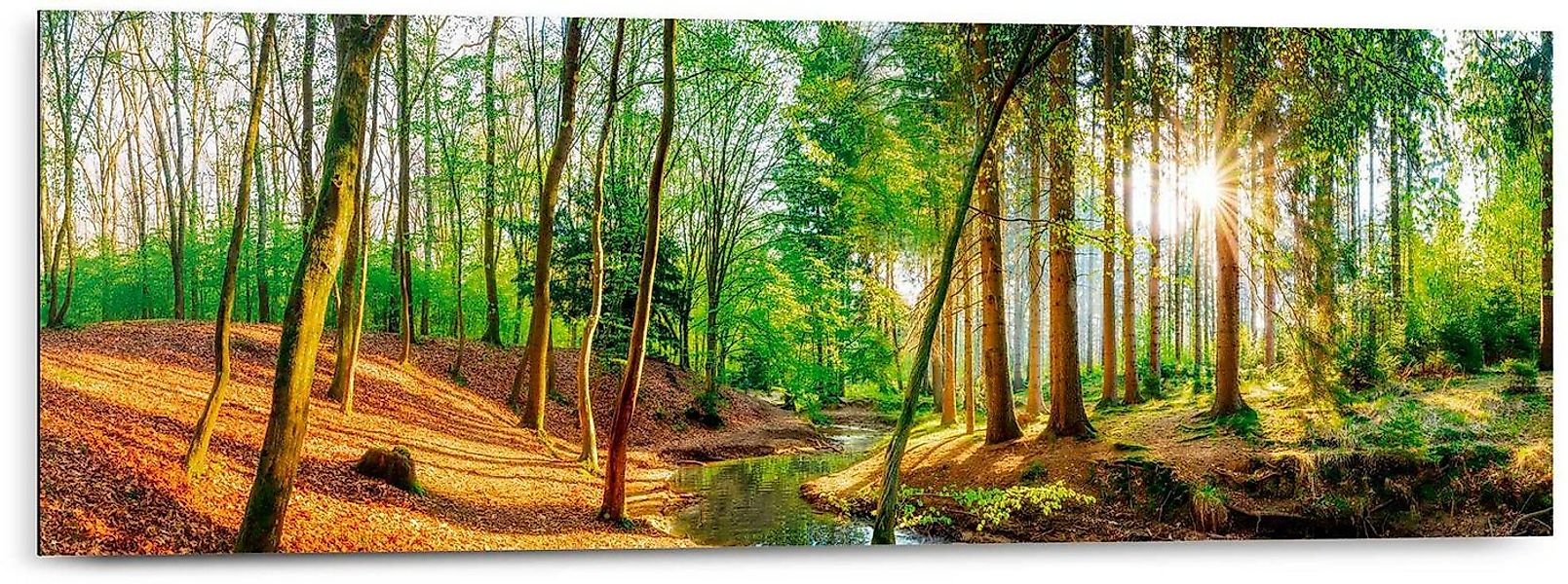 Reinders! Deco-Panel Sonniger Wald günstig online kaufen