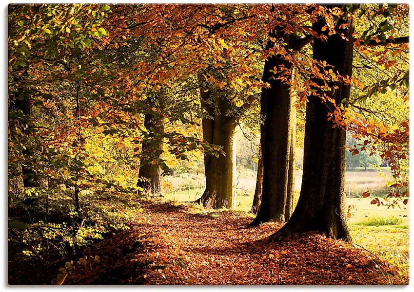 Artland Leinwandbild "Herbstfarben" Bäume 1 Stk. tlg. als Alubild, Outdoorb günstig online kaufen