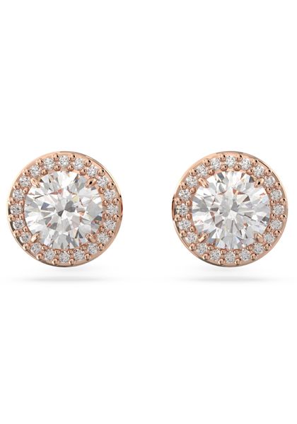 Swarovski Paar Ohrstecker Una Angelic Stern, günstig online kaufen