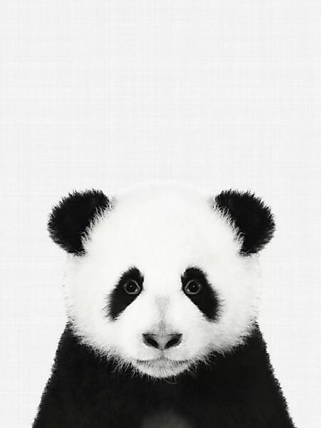 Poster / Leinwandbild - Panda (Black And White) günstig online kaufen