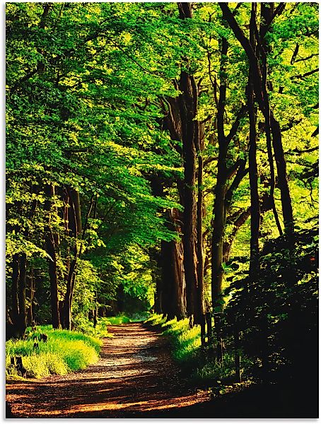 Artland Wandbild "Weg im Wald", Wald, (1 St.) günstig online kaufen