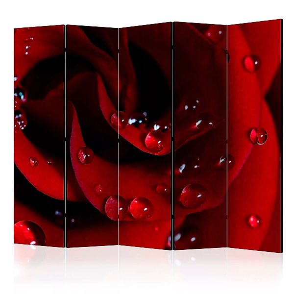 5-teiliges Paravent - Red Rose With Water Drops Ii [room Dividers] günstig online kaufen