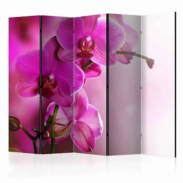 artgeist Paravent Pink orchid II [Room Dividers] rosa/grün Gr. 225 x 172 günstig online kaufen