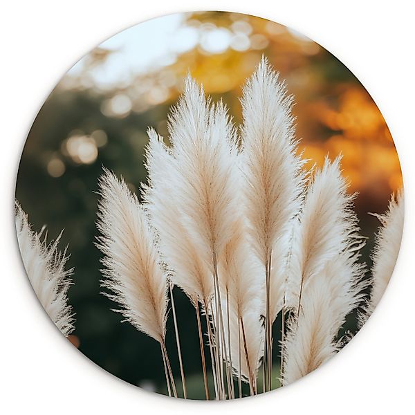 MuchoWow Gemälde Pampasgras - Federn - günstig online kaufen