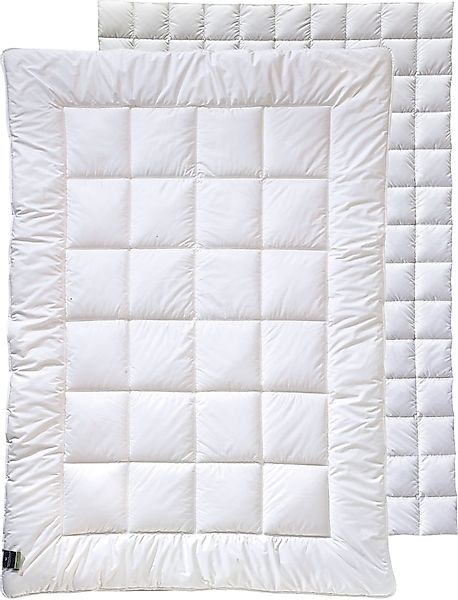 billerbeck Kunstfaserbettdecke »520 ALCANDO®, Bettdecken für Sommer und Win günstig online kaufen