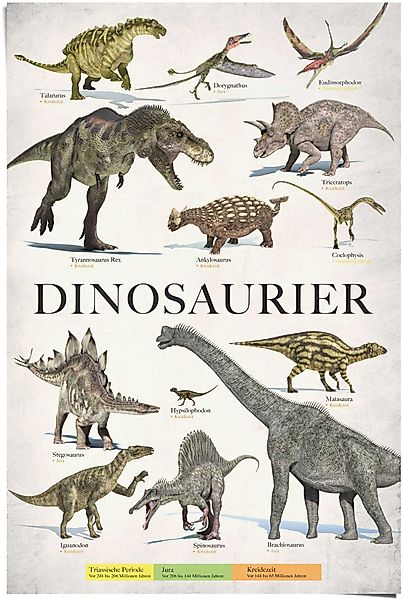 Reinders Poster "Dinosaurier", (1 St.) günstig online kaufen