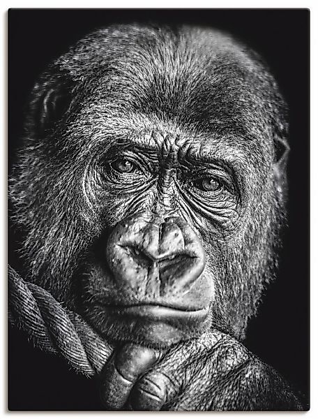 Artland Leinwandbild "Gorilla", Wildtiere, (1 St.), auf Keilrahmen gespannt günstig online kaufen