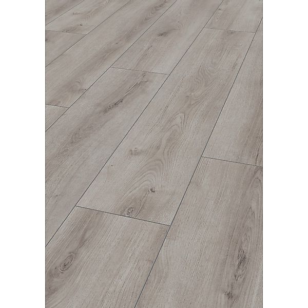 Jangal Laminatboden National Park Line Pro Dry Oak günstig online kaufen