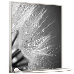 STEINFELD Heizsysteme Infrarotheizung, Bild, 350W 60x60cm, günstig online kaufen