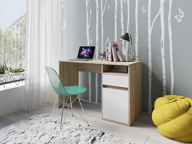 Home affaire Schreibtisch »Tinsley« mit Schublade, und Tür, Breite 120 x53 günstig online kaufen