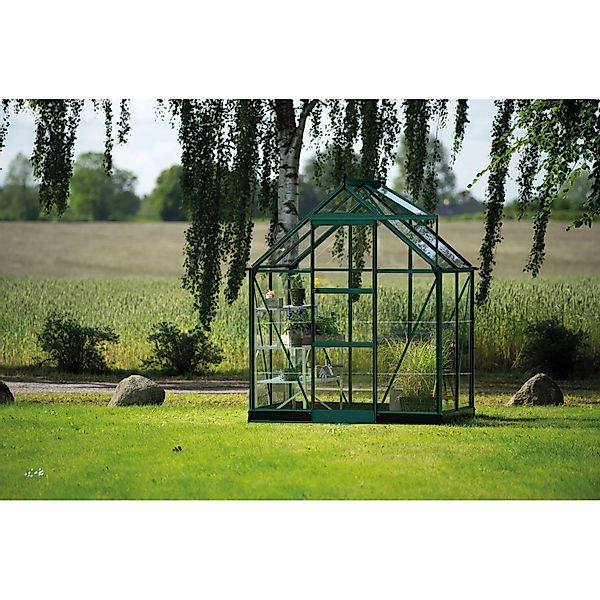 Halls Gewächshaus Icon 6 Grün 2,5 m² günstig online kaufen