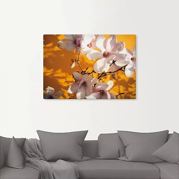 Artland Wandbild "Fotokollage Magnolie", Blumen, (1 St.), als Leinwandbild, günstig online kaufen
