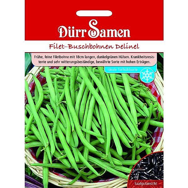 Dürr Samen Buschbohnen Delinel Saatgut günstig online kaufen