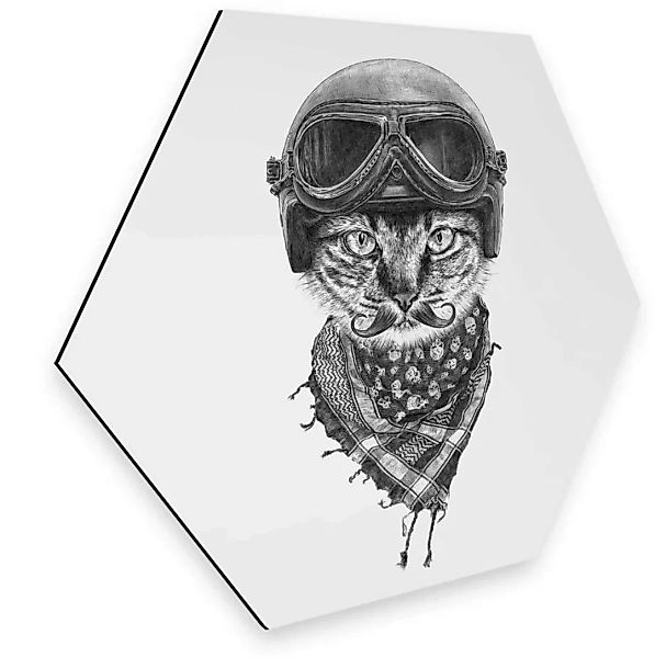 Wall-Art Metallbild »Biker Katze Wanddeko Katzenbild«, Schriftzug, (1 St.), günstig online kaufen