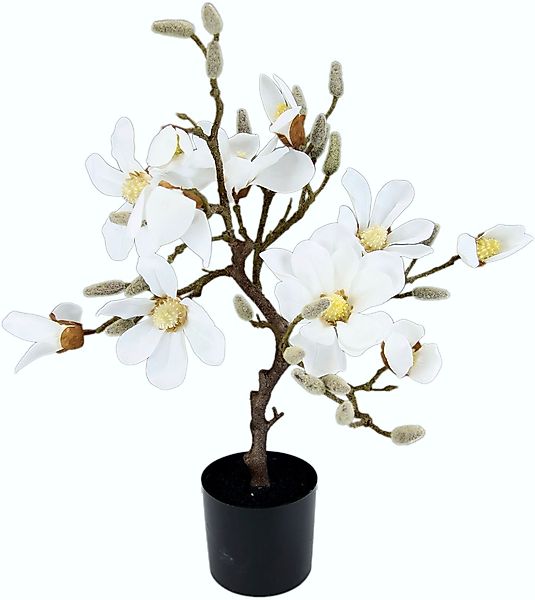 I.GE.A. Kunstbaum "Magnolienbaum", im Kunststofftopf günstig online kaufen