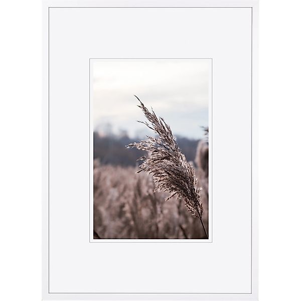 Holz-Bilderrahmen Weiß 50 cm x 70 cm günstig online kaufen