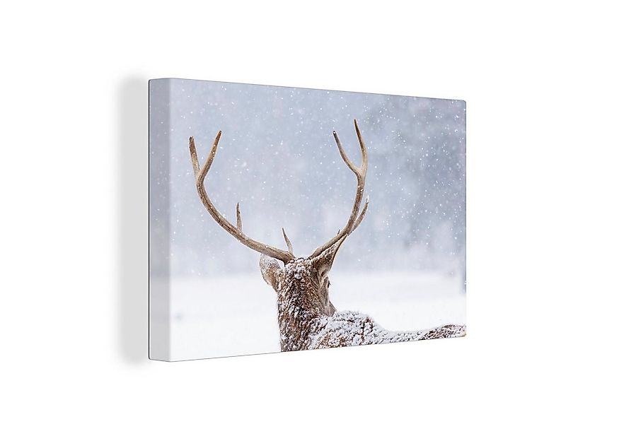 OneMillionCanvasses® Leinwandbild Hirsche - Geweihe - Schnee - Winter, Foto günstig online kaufen