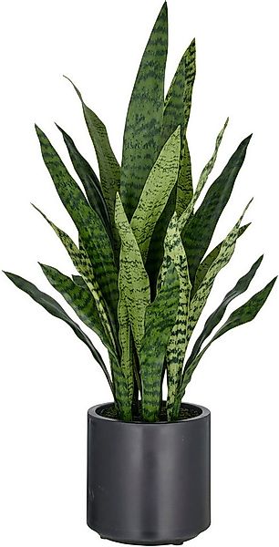 Kunstpflanze Sansevieria zeylanica, Creativ green, Höhe 90 cm, im eleganten günstig online kaufen