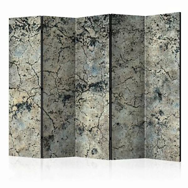 artgeist Paravent Cracked Stone II [Room Dividers] grau/beige Gr. 225 x 172 günstig online kaufen