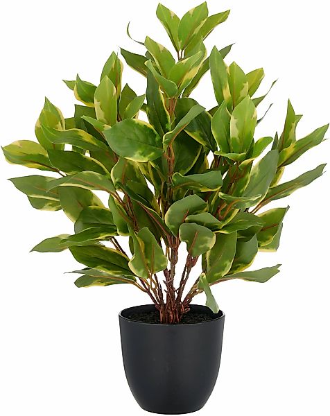 Creativ green Kunstpflanze "Epipremnum aureum", mit schönem Blattwerk günstig online kaufen