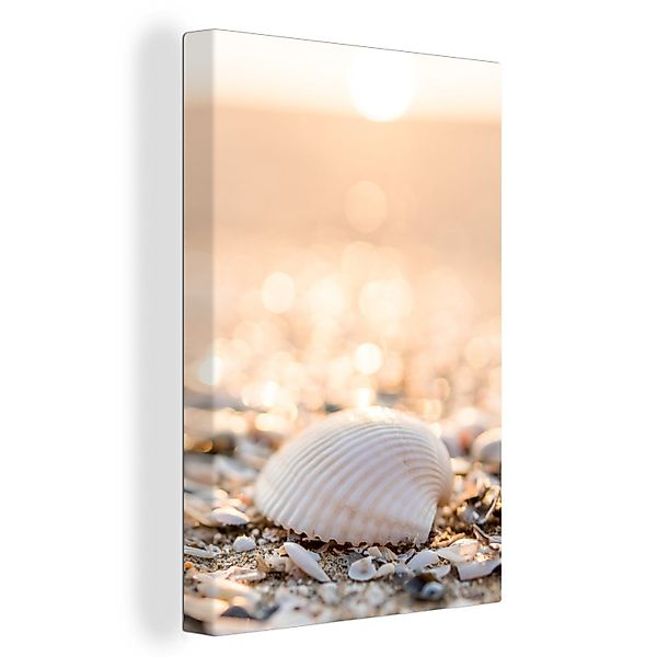 OneMillionCanvasses® Leinwandbild Muscheln - Weiß - günstig online kaufen
