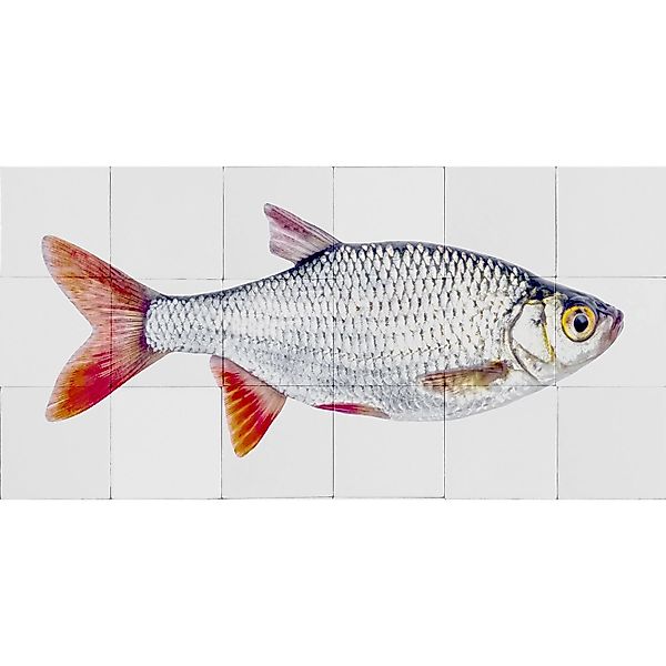 ESTAhome Wandtattoo Fisch Grau und Rot 97 x 48,5 cm 159029 günstig online kaufen