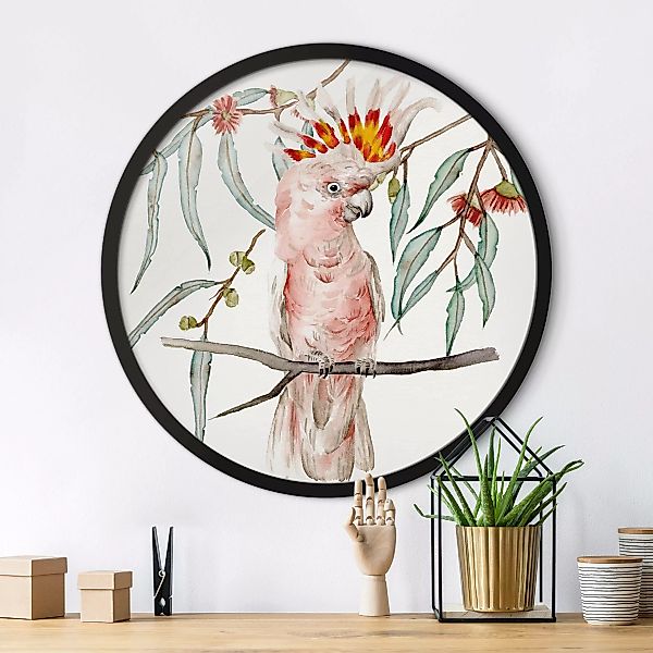 Rundes Gerahmtes Bild Kakadu mit Rosa Federn günstig online kaufen