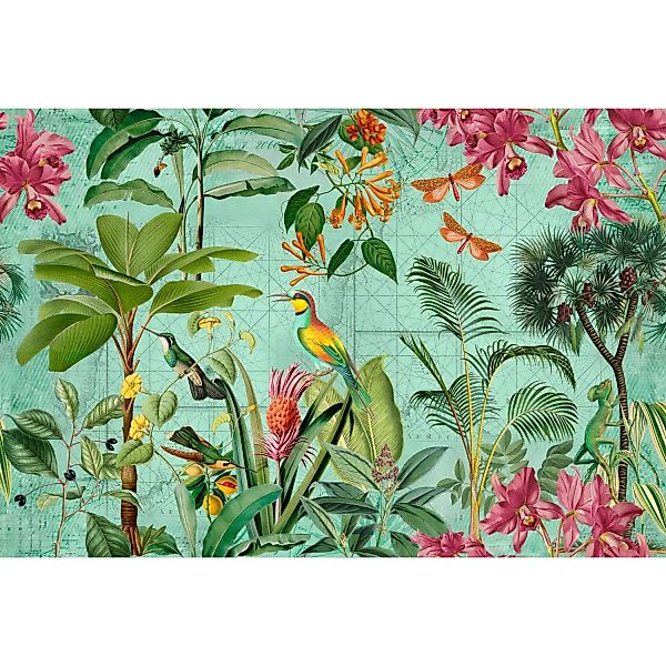 Fototapete Floral Blumen Vögel Bunt Grün Rosa 4,00 m x 2,70 m FSC® günstig online kaufen