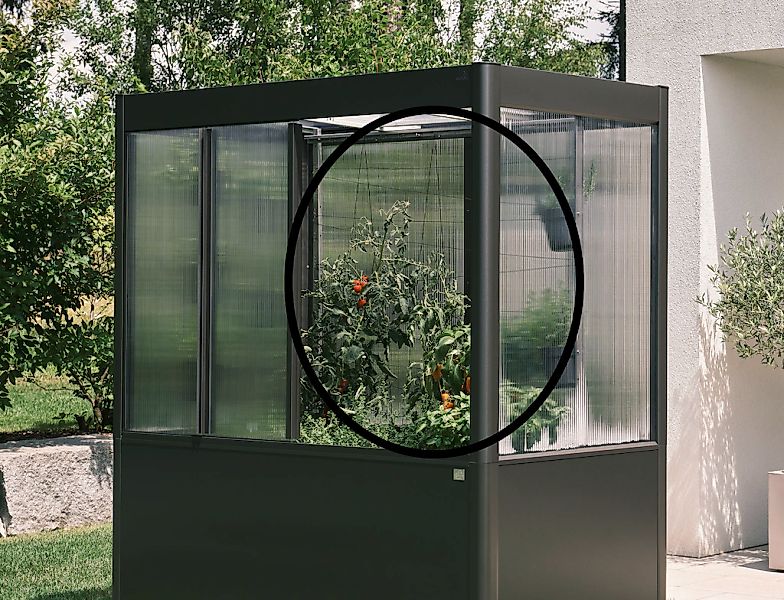 Biohort Rankhilfe "für Gewächshaus und/oder Gewächshausaufsatz" passend für günstig online kaufen