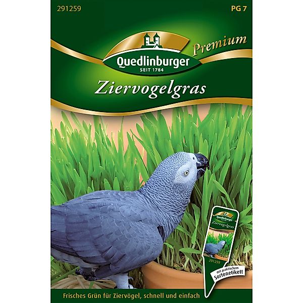 Quedlinburger Ziervogelgras Grün Loses Saatgut günstig online kaufen