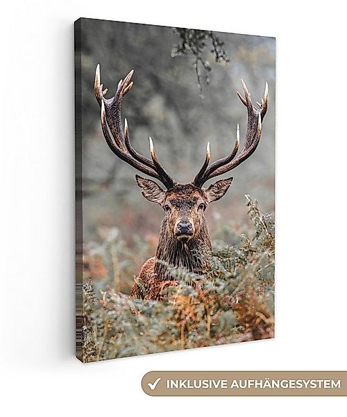 OneMillionCanvasses® Leinwandbild Hirsche - Natur - Herbst - Waldtiere, Fot günstig online kaufen