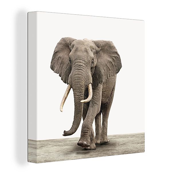 OneMillionCanvasses® Leinwandbild Elefant - Kinder - günstig online kaufen