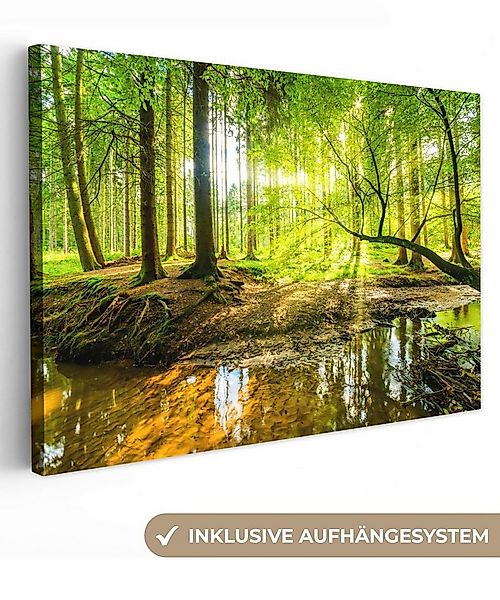 OneMillionCanvasses® Leinwandbild Wald - Landschaft - Wasser - Bäume - Sonn günstig online kaufen