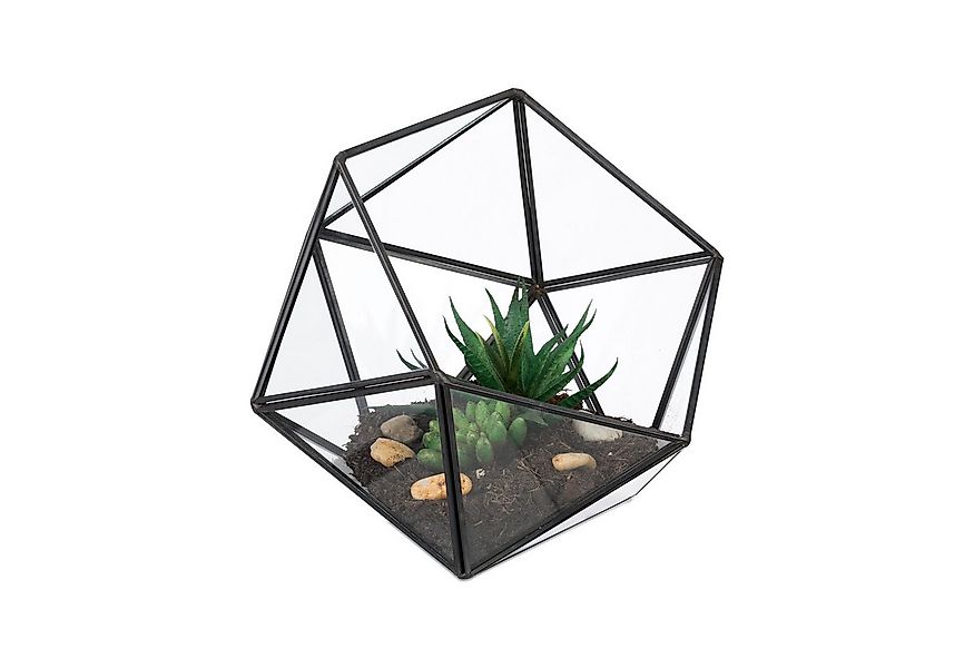 relaxdays Dekovase Geometrisches Pflanzenterrarium aus Glas (1 St), schwarz günstig online kaufen