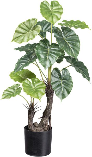 Kunstpalme Taropflanze Grünpflanze, Creativ green, Höhe günstig online kaufen