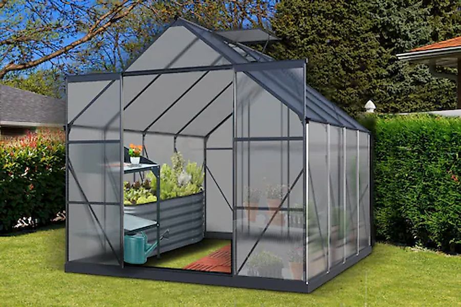 KONIFERA Gewächshaus mit Fundamentrahmen günstig online kaufen